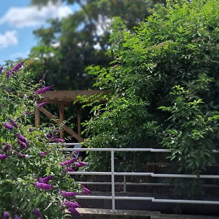 Plitzner Belvarosi Apartmanhaz Apartmán