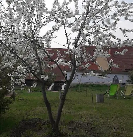 Apartmán Plitzner Belvarosi Apartmanhaz *