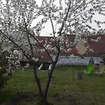 Apartmán Plitzner Belvarosi Apartmanhaz *