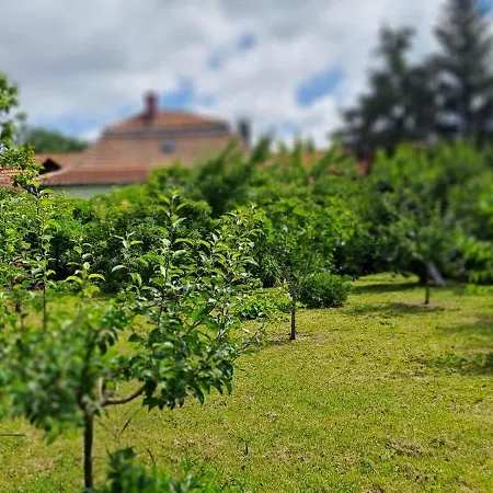 Plitzner Belvarosi Apartmanhaz Apartmán