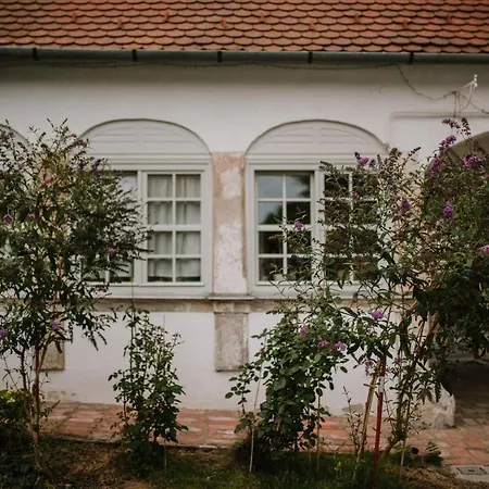 Plitzner Belvarosi Apartmanhaz Appartement *