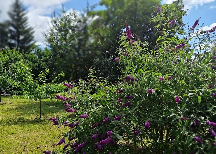 Plitzner Belvarosi Apartmanhaz Appartement