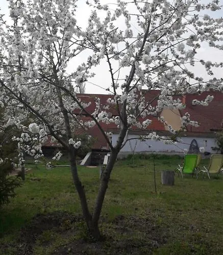 Appartement Plitzner Belvarosi Apartmanhaz *