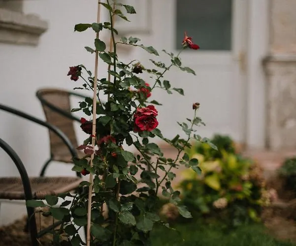 Plitzner Belvarosi Apartmanhaz * Eger